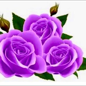 5 % Discount on Bundles of Two or More Items